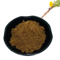 Herbal Extract 3% Flavone Dandelion Root Extract Powder